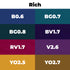 Brush Set 8pc - Rich