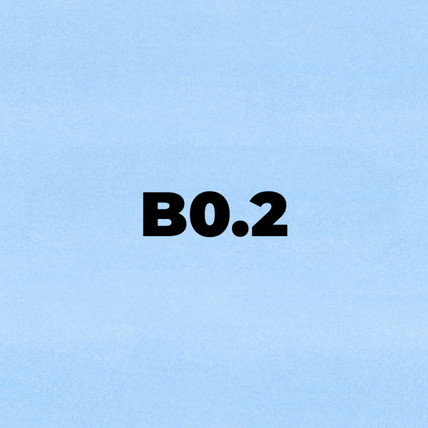 Brush Ink - B0.2 Forget me not