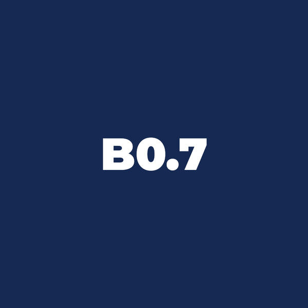 Brush Ink - B0.7 Ultramarine
