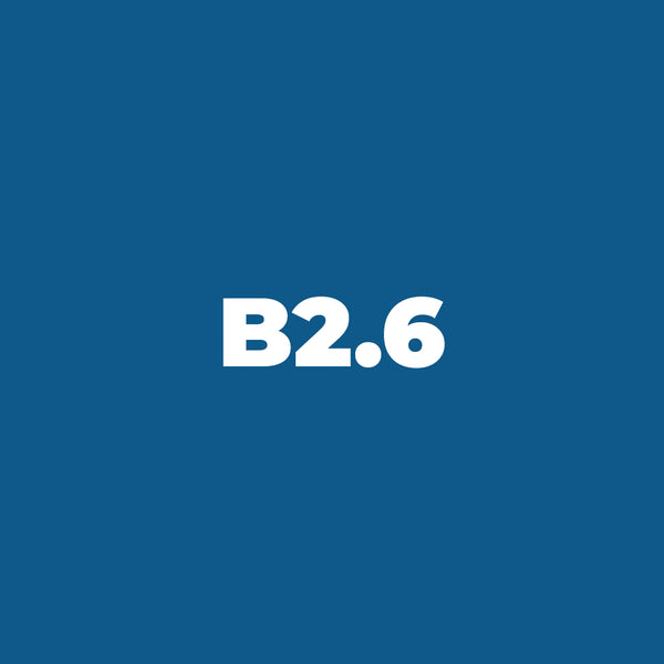 Brush Ink - B2.6 Azure