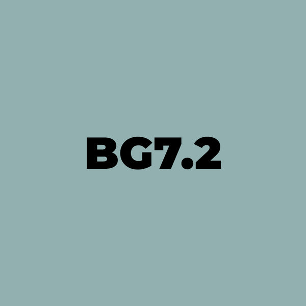 Brush Ink - BG7.2 Silver Jade