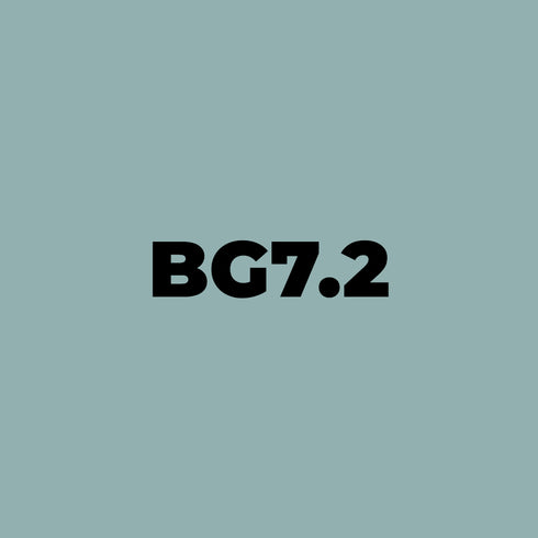 Brush - BG7.2 Silver Jade