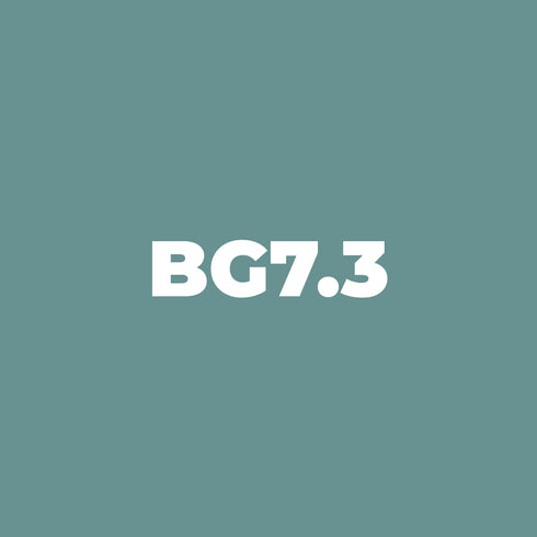 Chisel - BG7.3 Blue Spruce
