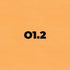 Brush Ink - O1.2 Loquat