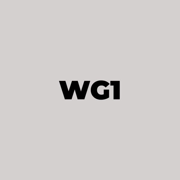Chisel Ink - WG1 Warm Gray 1