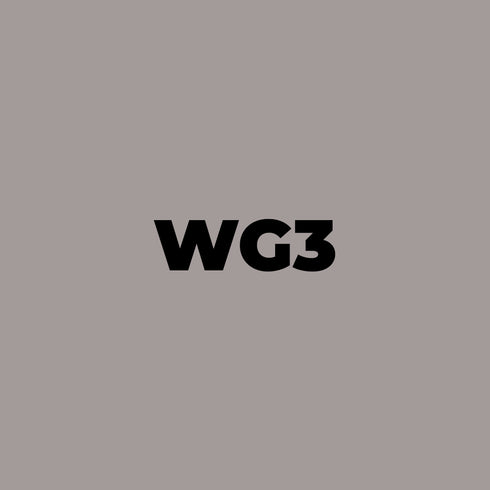 Brush - WG3 Warm Gray 3