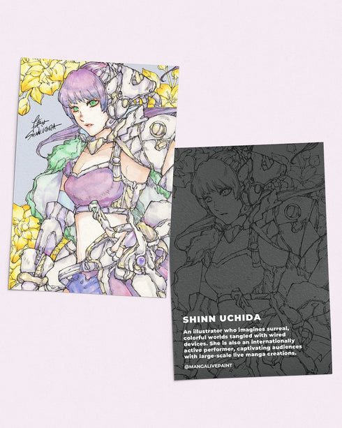 Shinn Uchida Artist Set