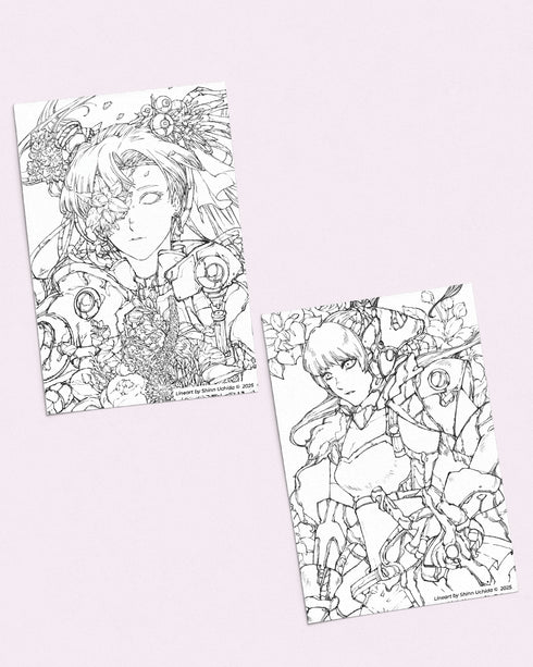 Shinn Uchida Artist Set