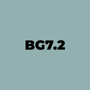 Brush - BG7.2 Silver Jade