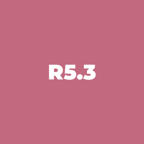 Brush Ink - R5.3 Dusty Rose