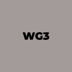 Chisel Ink - WG3 Warm Gray 3
